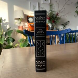 The Magic Mountain by Thomas Mann